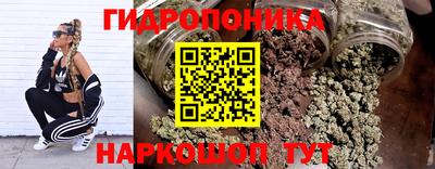 шишки Пугачёв