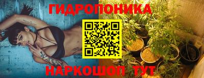 шишки Пугачёв