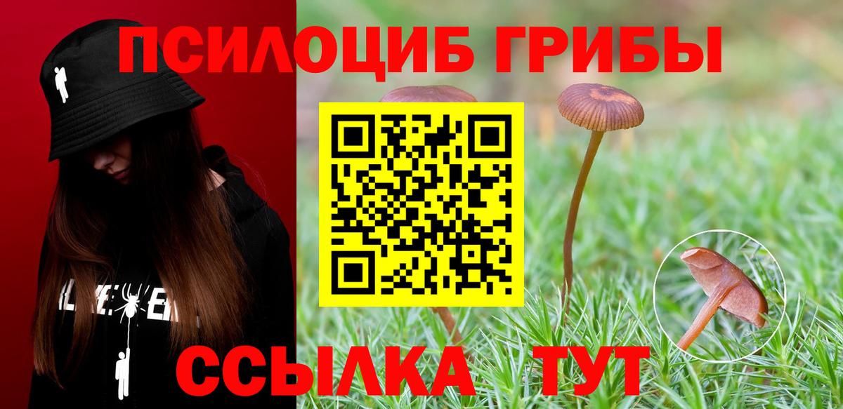 Пыть-Ях  Галлюциногенные грибы Psilocybe  Вход с VPN  Псилоцибиновые грибы мицелий 